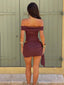BIBA MINI SKIRT CHOCOLATE Mini Skirt 