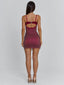 BONJOUR MINI DRESS BURGUNDY Mini Dress 