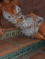 RIO MINI DRESS KALAHARI PRINT Mini Dress 