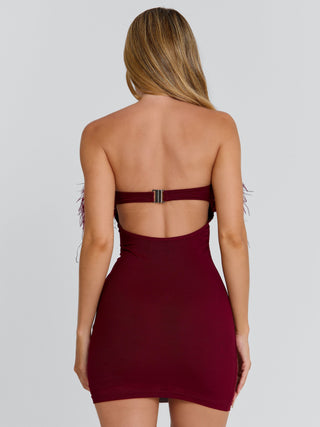 SHONA MINI DRESS BURGUNDY Mini Dress 