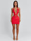 TRINA MINI DRESS RED Mini Dress 